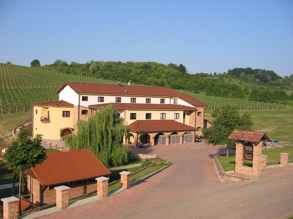 Stupnicki dvori_Wineyard event resort event